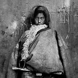 刘涛明星人脸替换脸
